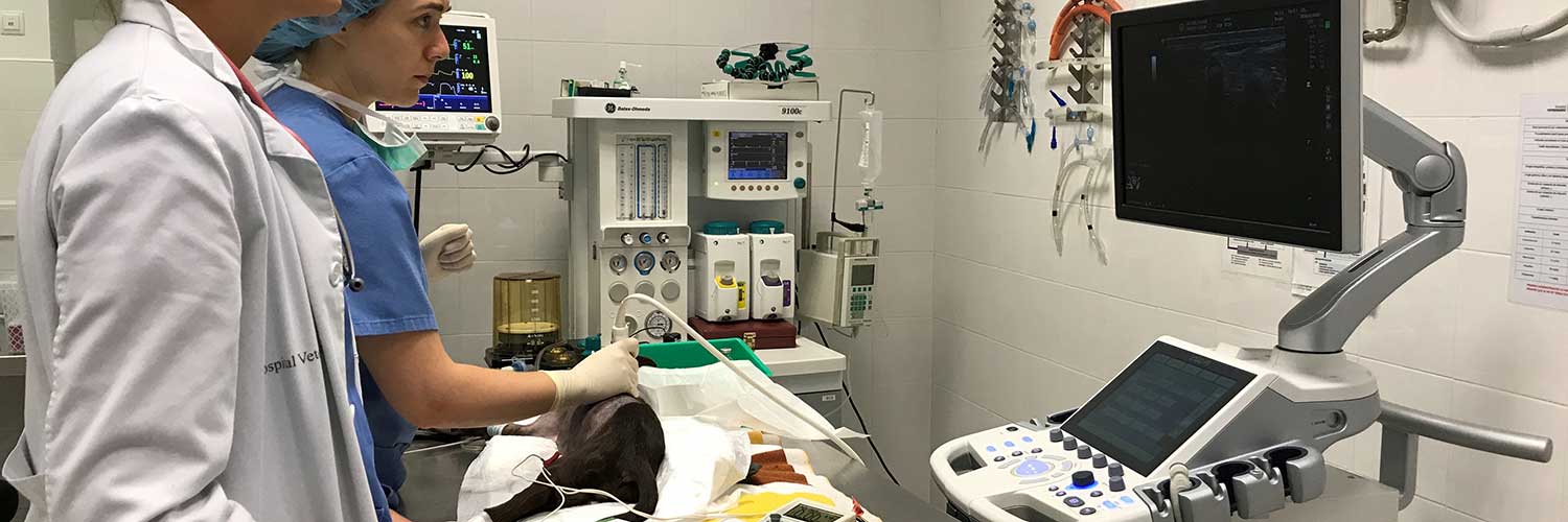 Anestesiología y analgesia Anestesiología y analgesia | UCV