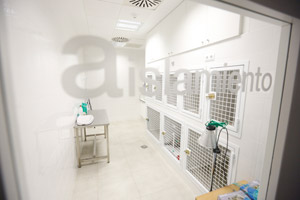 Sala De Hospitalizacion Con Pacientes - Idea Sala De Estar